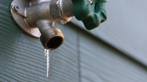 Best Clogged Drain Plumber  in Richmond, MI