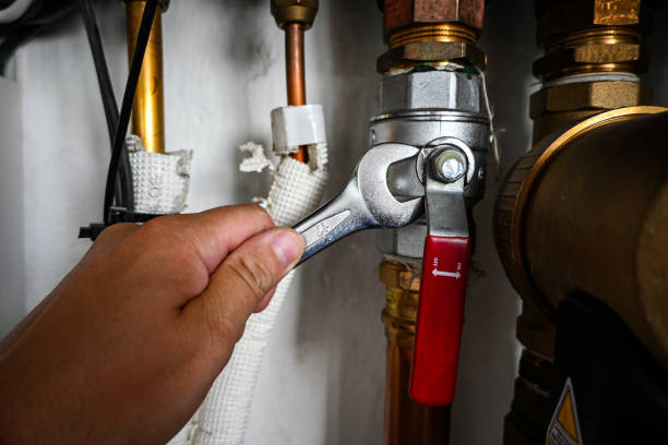 Best Emergency Plumbing Repair  in Richmond, MI